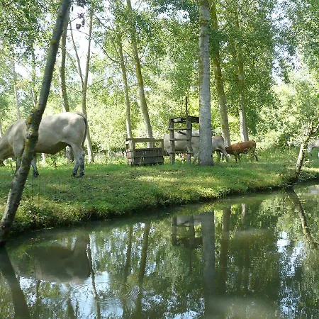 Camping L'ile Cariot * Chaille-Les-Marais